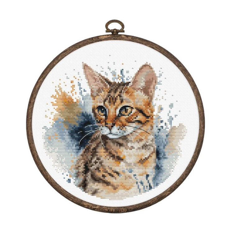 (image for) The Bengal Cat w/Hoop